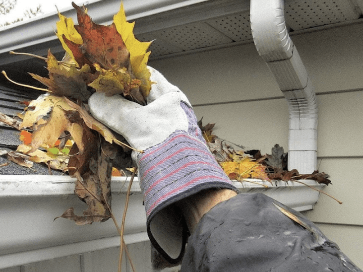 Gutter Cleaning Services in Colts Neck, NJ