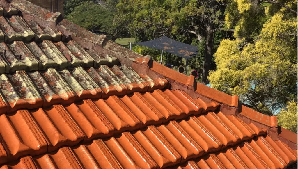 Soft Wash Roof Cleaning Services in Holmdel, NJ