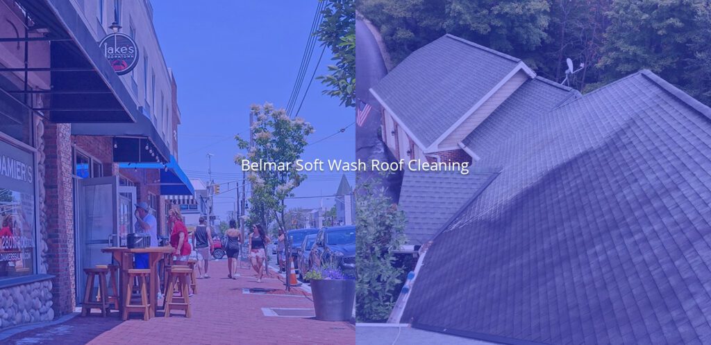 Soft Wash Roof Cleaning Services in Belmar, NJ