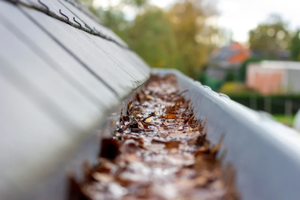 gutter cleaning monmouth county nj