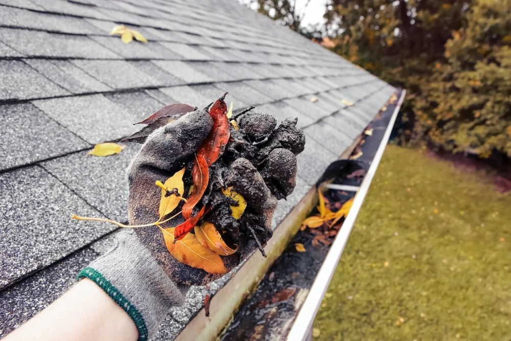 Gutter Cleaning 101: Why It’s Crucial For Home Maintenance