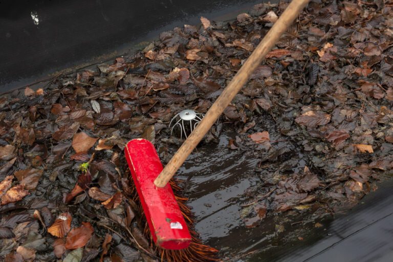 roof cleaning manalapan nj