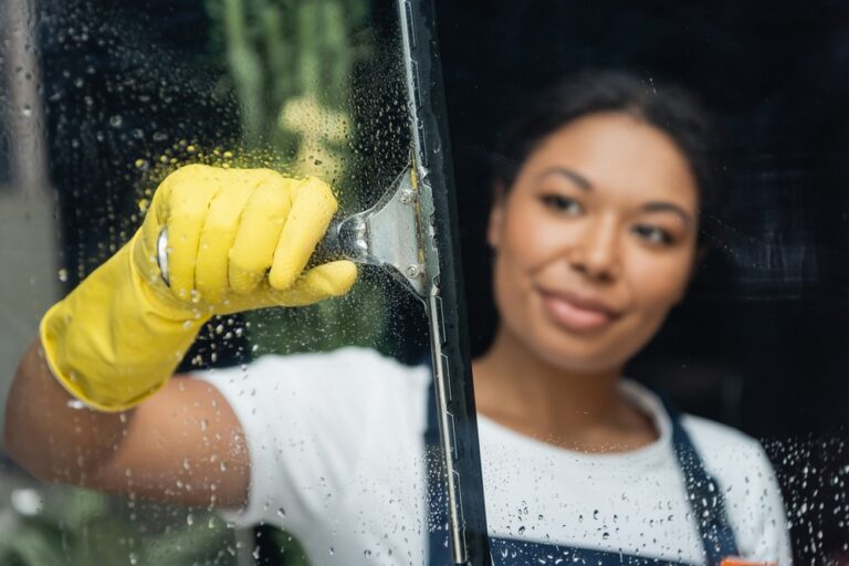 Window washing millstone nj