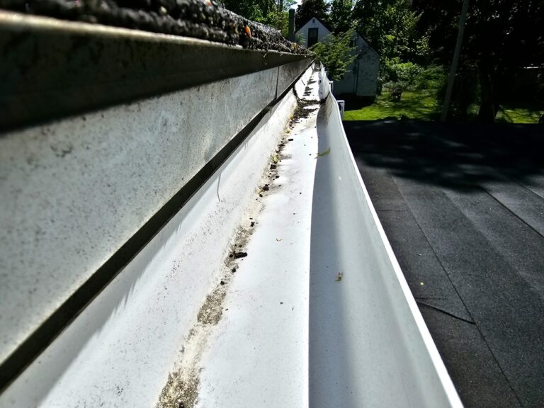 gutter cleaning hazlet nj