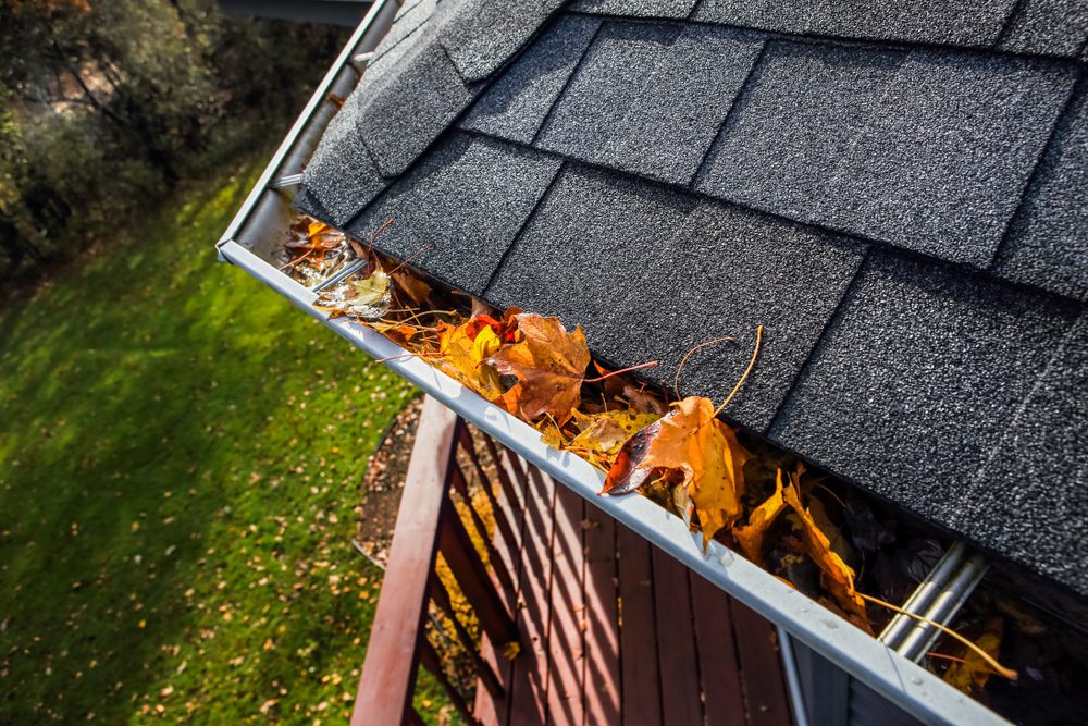 gutter cleaning asbury park